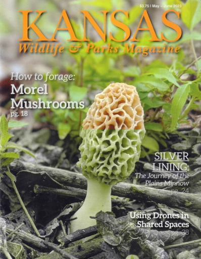 Kansas Wildlife & Parks May 01, 2023 Issue Cover