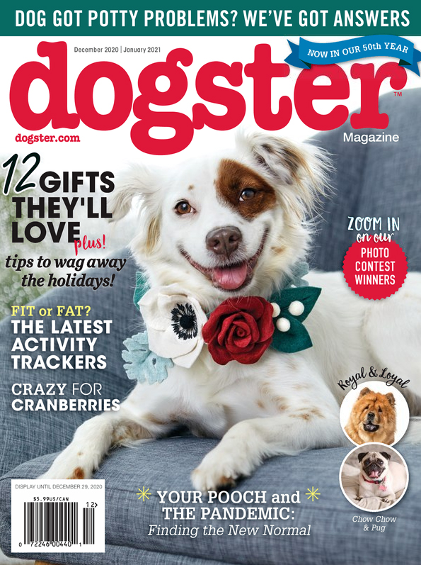 Dogster December 01, 2020 Issue Cover