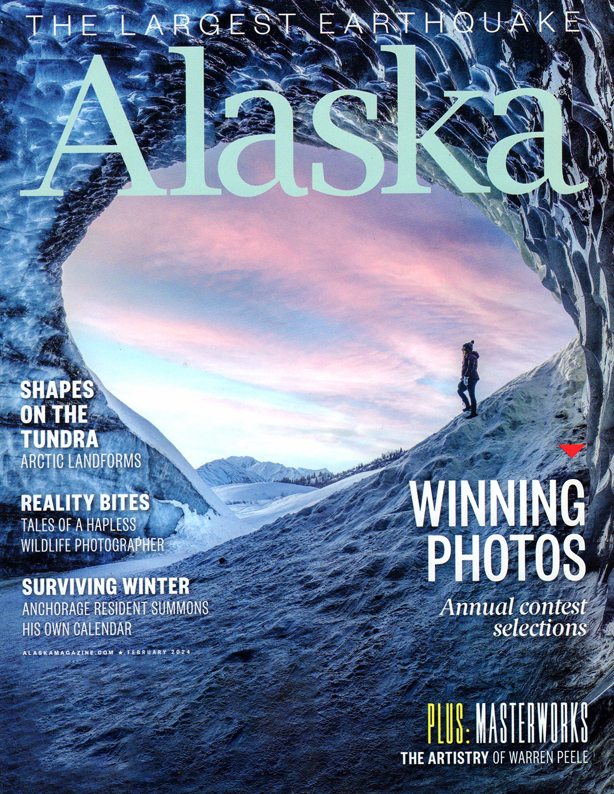 Alaska Magazine  Is This the End of the Arctic Fox?