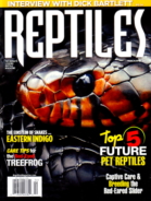 Reptiles March 01, 2022 Issue Cover