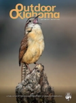 Outdoor Oklahoma May 01, 2026 Issue Cover