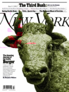 New-York-Magazine June 01, 2015 Issue Cover