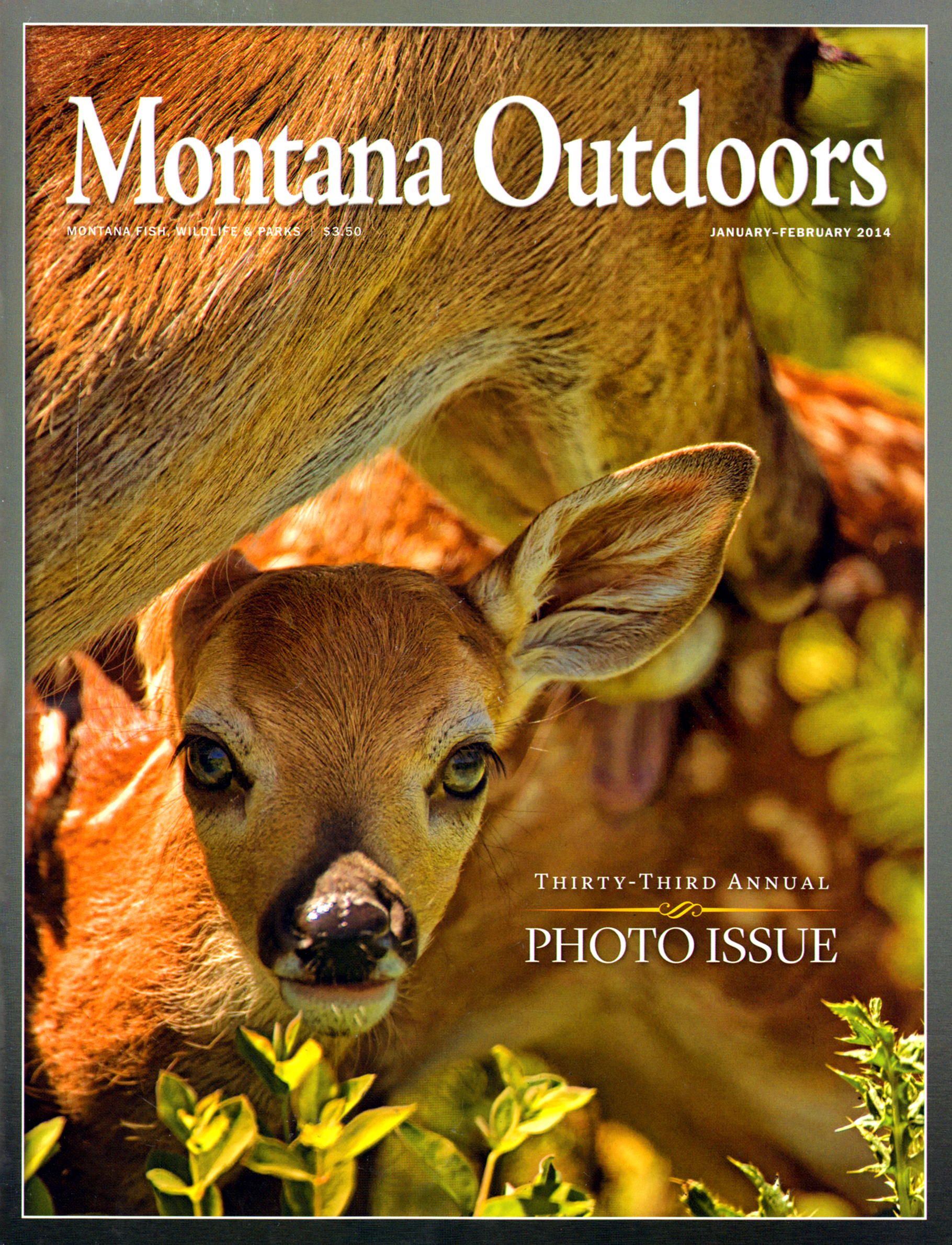 Montana-Outdoors January 01, 2014 Issue Cover