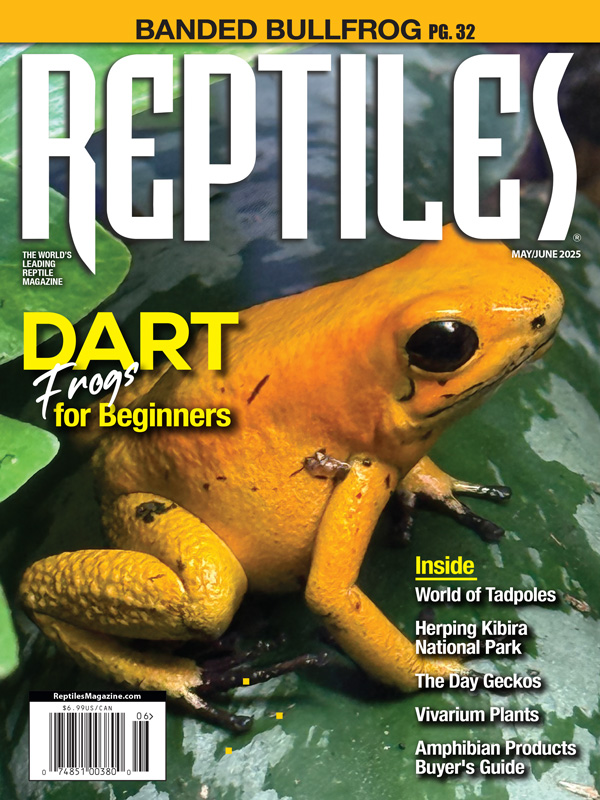Reptiles May 01, 2025 Issue Cover