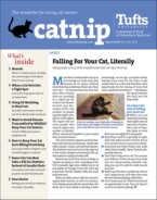 Catnip March 01, 2023 Issue Cover