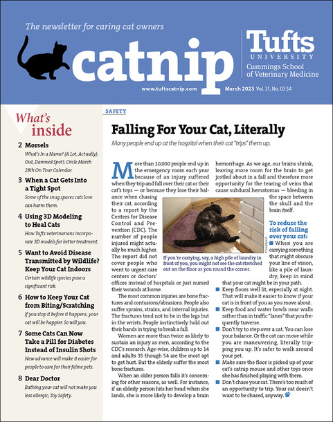 Catnip March 01, 2023 Issue Cover
