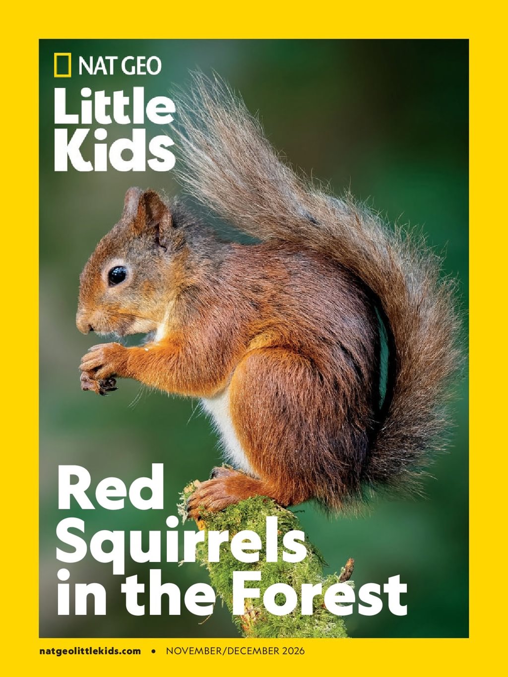 National-Geographic-Little-Kids November 01, 2026 Issue Cover