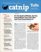 Catnip February 01, 2021 Issue Cover