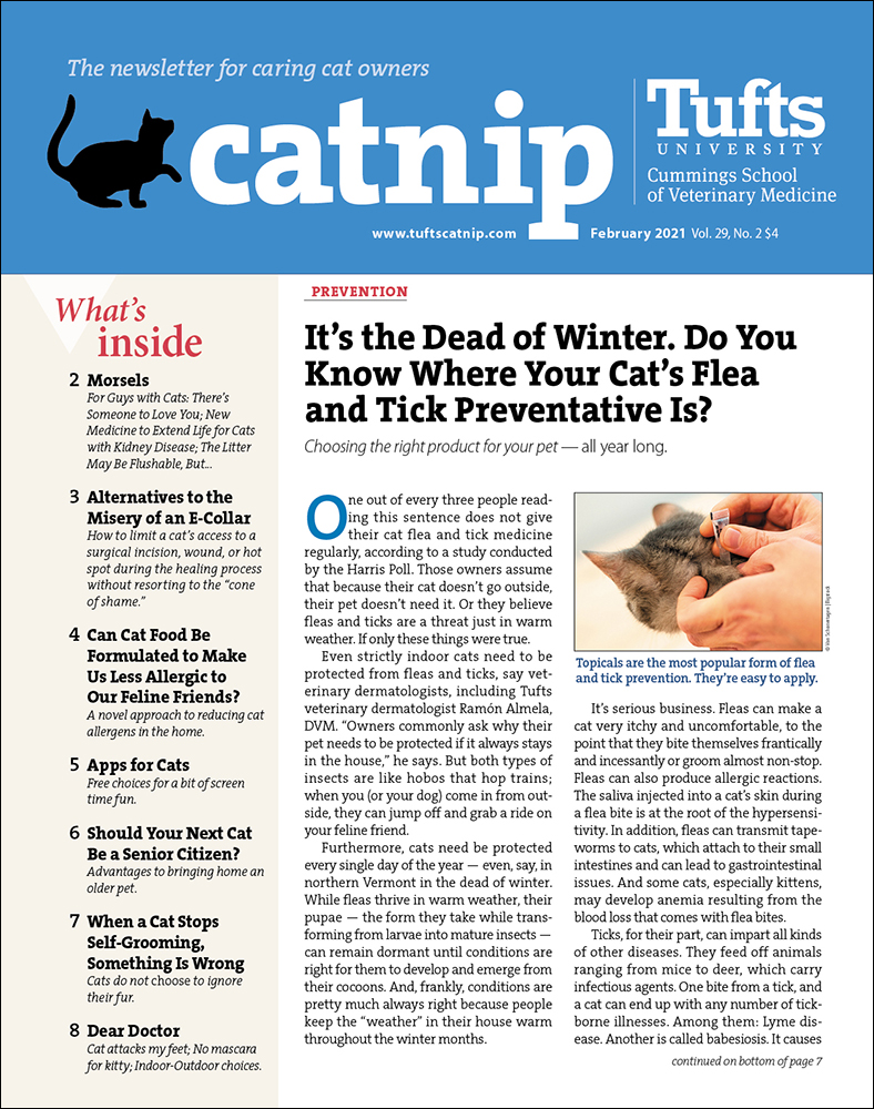 Catnip February 01, 2021 Issue Cover