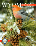 Wyoming-Wildlife January 01, 2020 Issue Cover