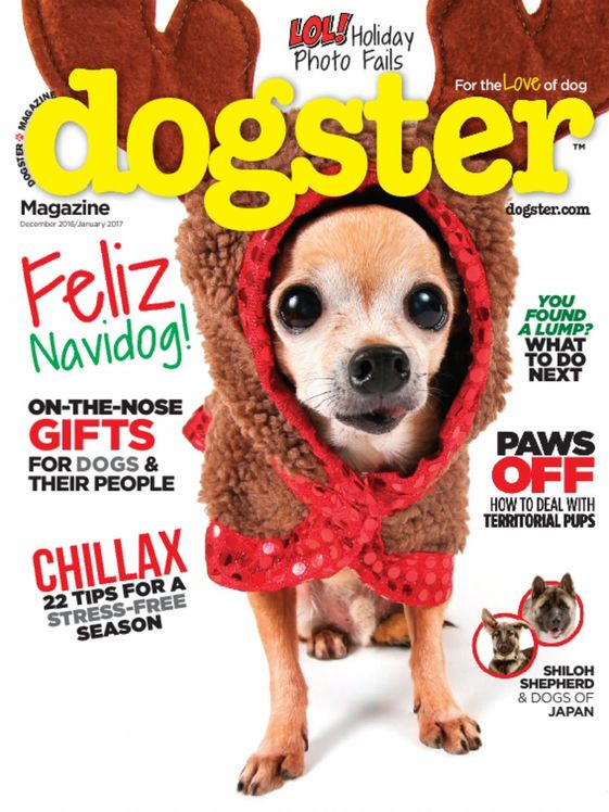 Dogster December 01, 2016 Issue Cover