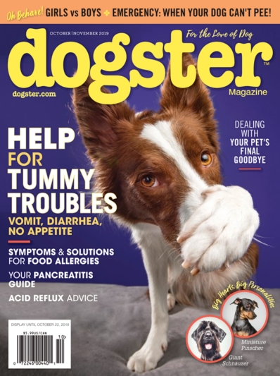 Dogster October 01, 2019 Issue Cover