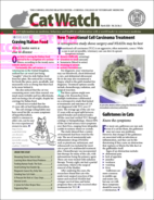 Catwatch March 01, 2020 Issue Cover
