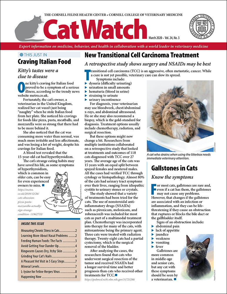 Catwatch March 01, 2020 Issue Cover