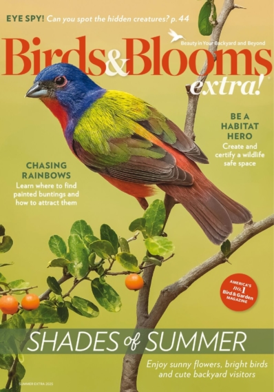 Birds & Blooms Extra August 01, 2025 Issue Cover