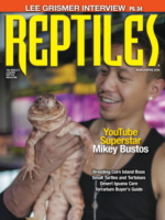 Reptiles March 01, 2026 Issue Cover