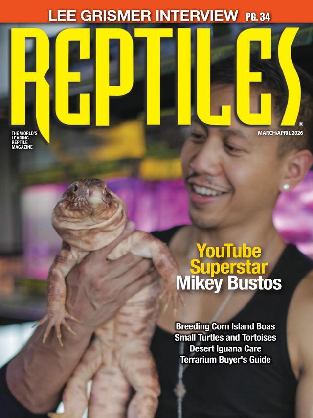 Reptiles March 01, 2026 Issue Cover