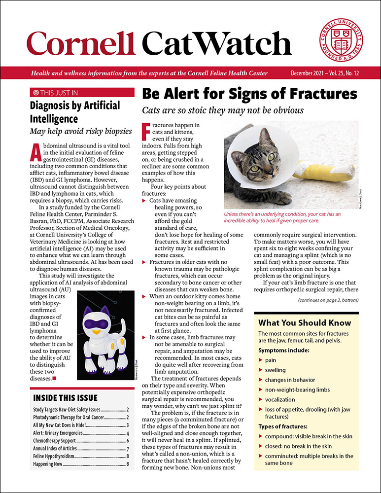 Catwatch December 01, 2021 Issue Cover