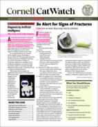 Catwatch December 01, 2021 Issue Cover