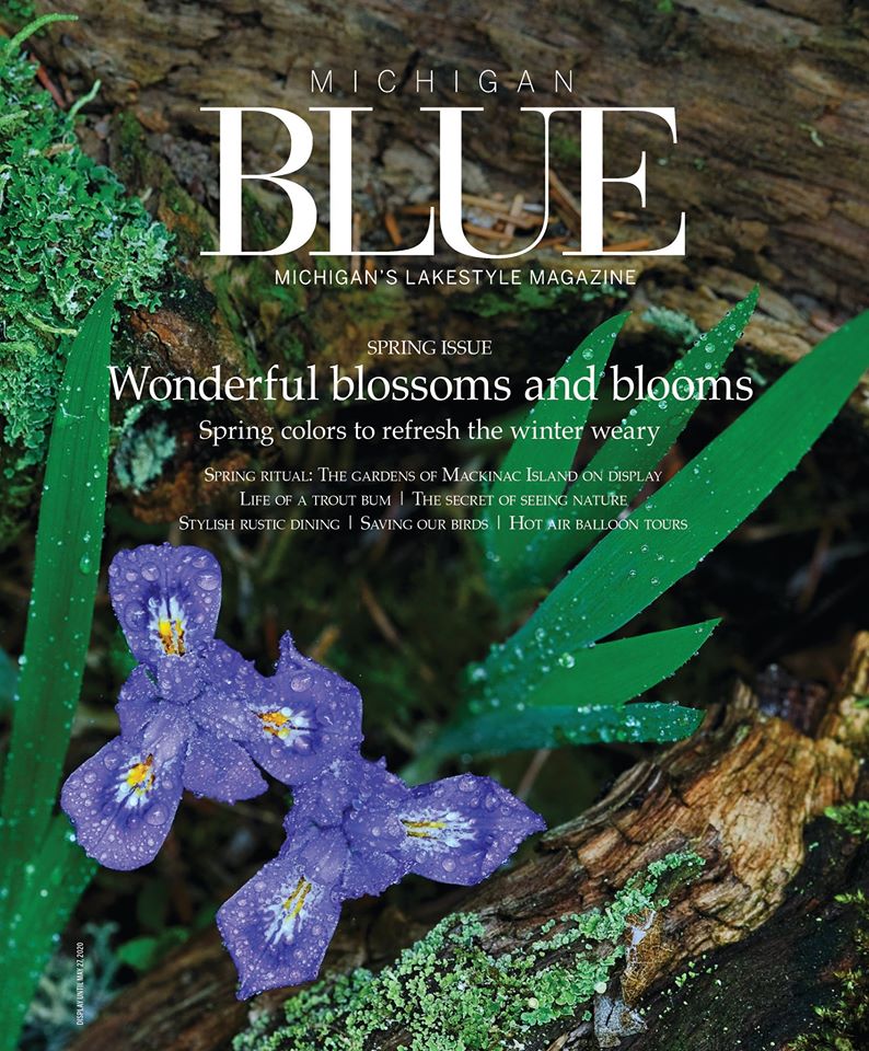 Michigan-Blue April 01, 2020 Issue Cover