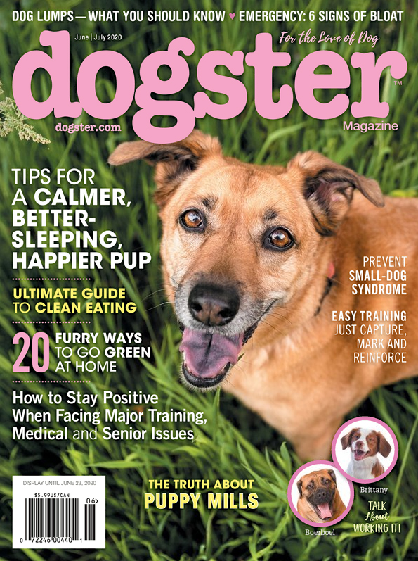Dogster June 01, 2020 Issue Cover