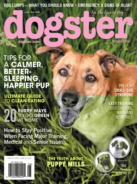 Dogster June 01, 2020 Issue Cover