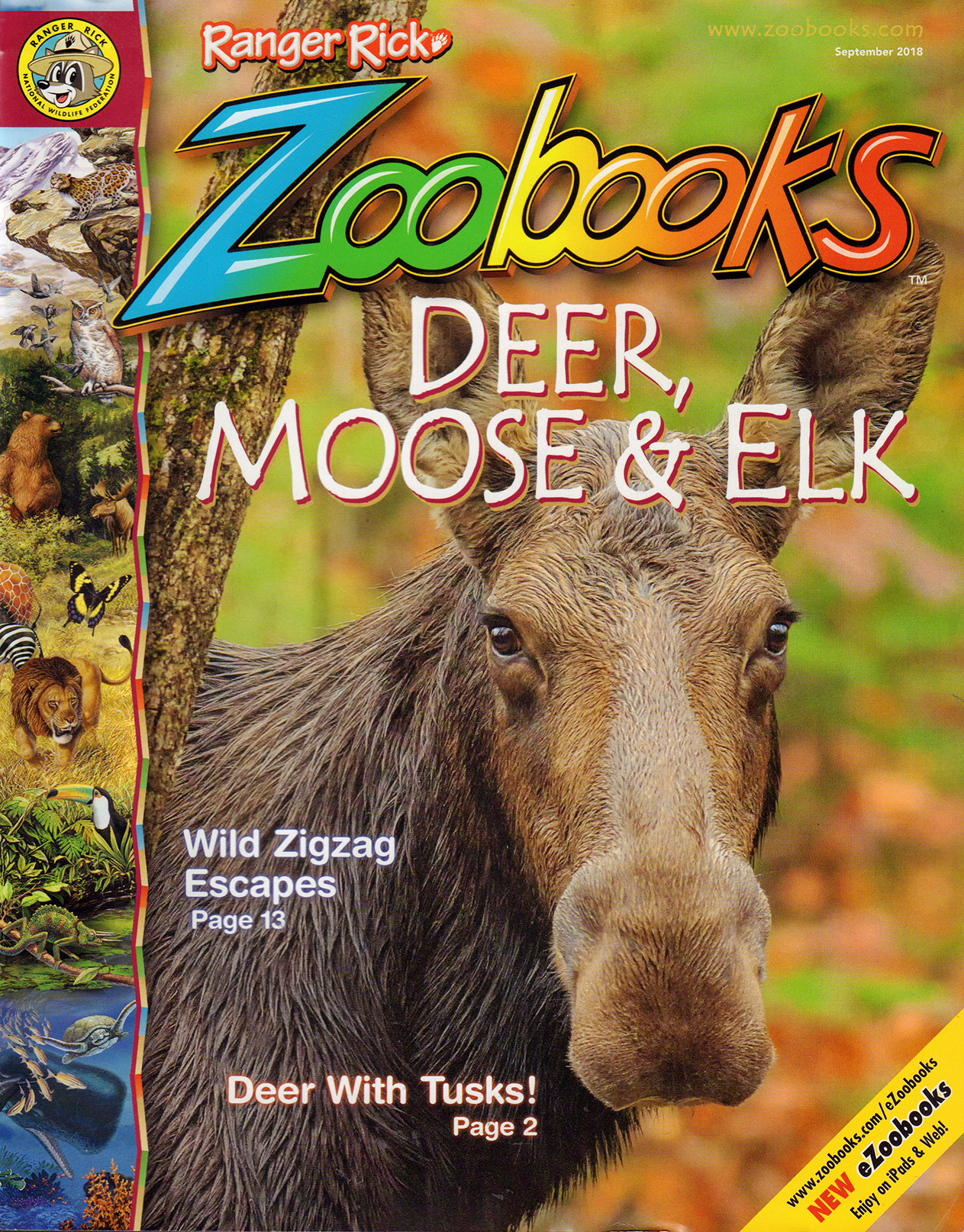 zoobooks September 01, 2018 Issue Cover