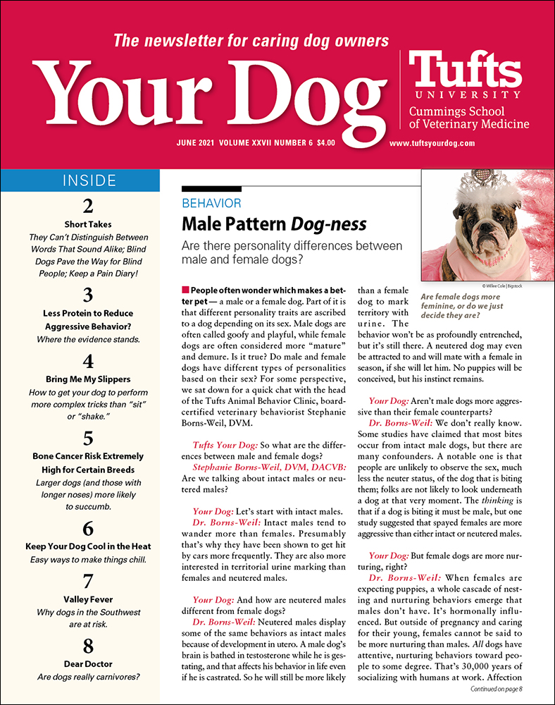 Your-Dog June 01, 2021 Issue Cover