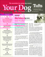 Your-Dog June 01, 2021 Issue Cover