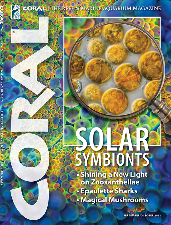 Coral September 01, 2021 Issue Cover