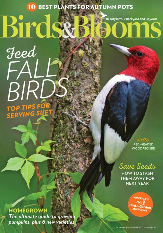 Birds-and-Blooms October 01, 2021 Issue Cover