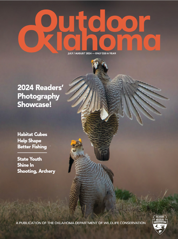 Outdoor Oklahoma July 01, 2024 Issue Cover