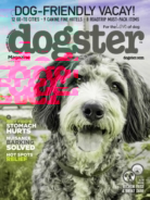 Dogster June 01, 2017 Issue Cover