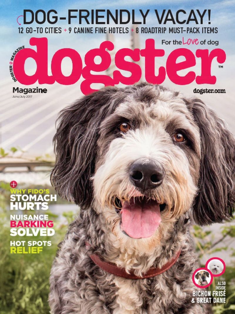 Dogster June 01, 2017 Issue Cover