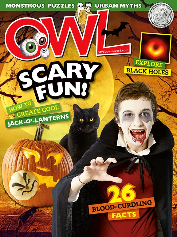 OWL October 01, 2019 Issue Cover