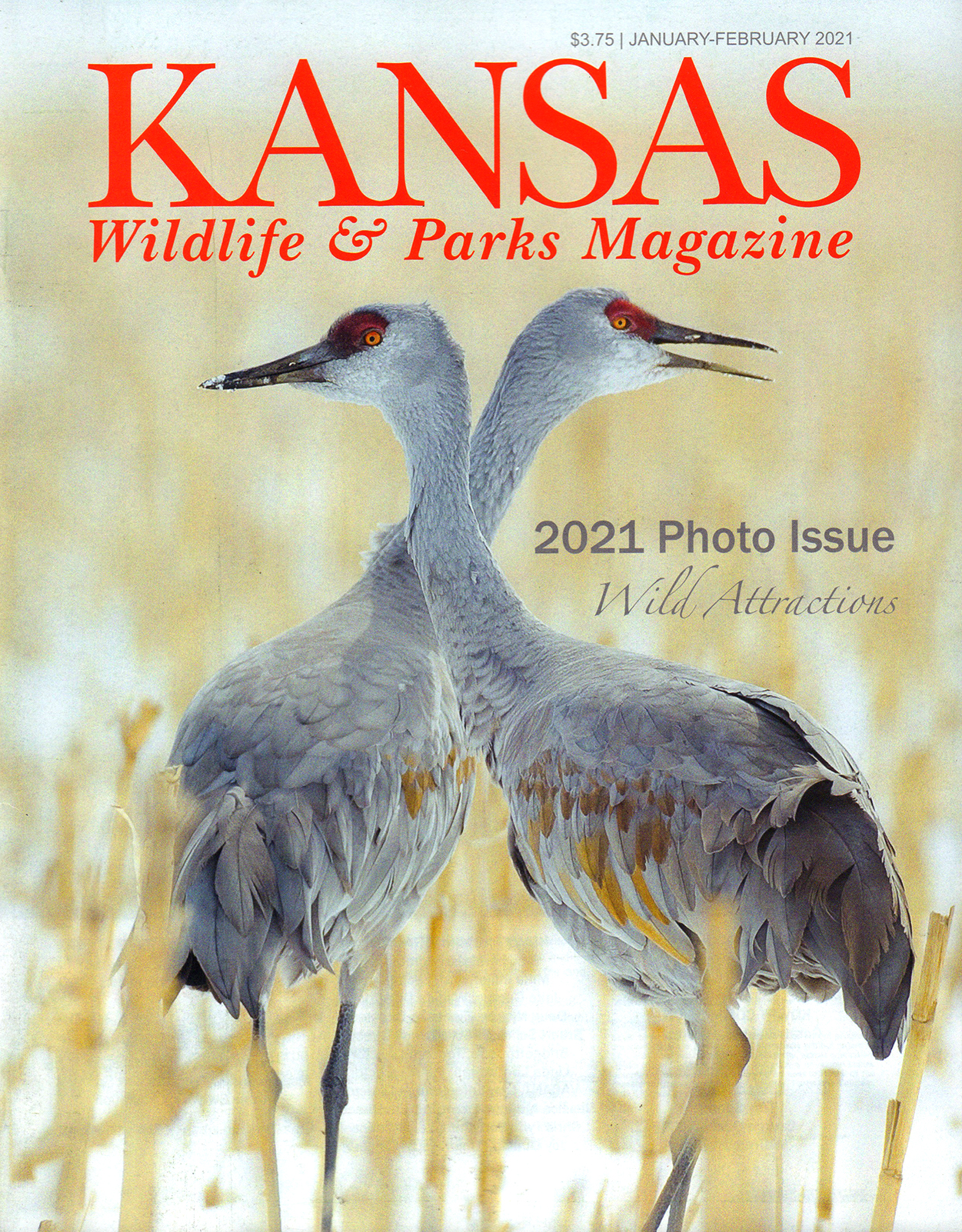 Kansas-Wildlife-and-Parks January 01, 2021 Issue Cover