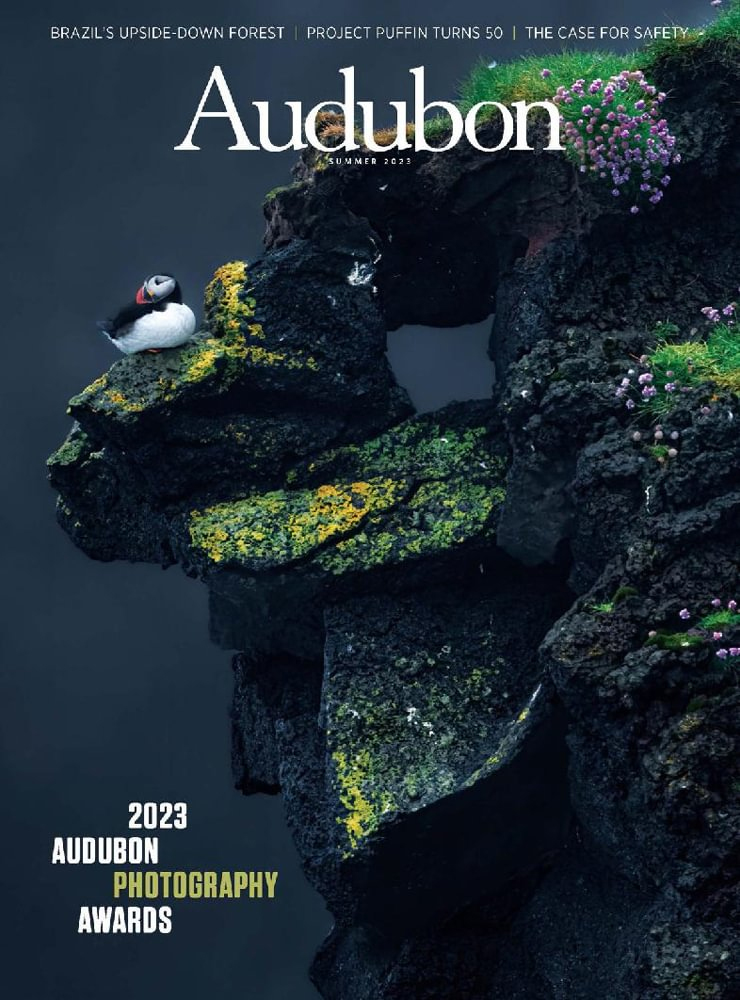 Audubon June 01, 2023 Issue Cover