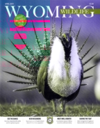 Wyoming-Wildlife April 01, 2019 Issue Cover