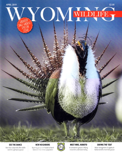 Wyoming Wildlife April 01, 2019 Issue Cover