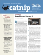 Catnip April 01, 2020 Issue Cover