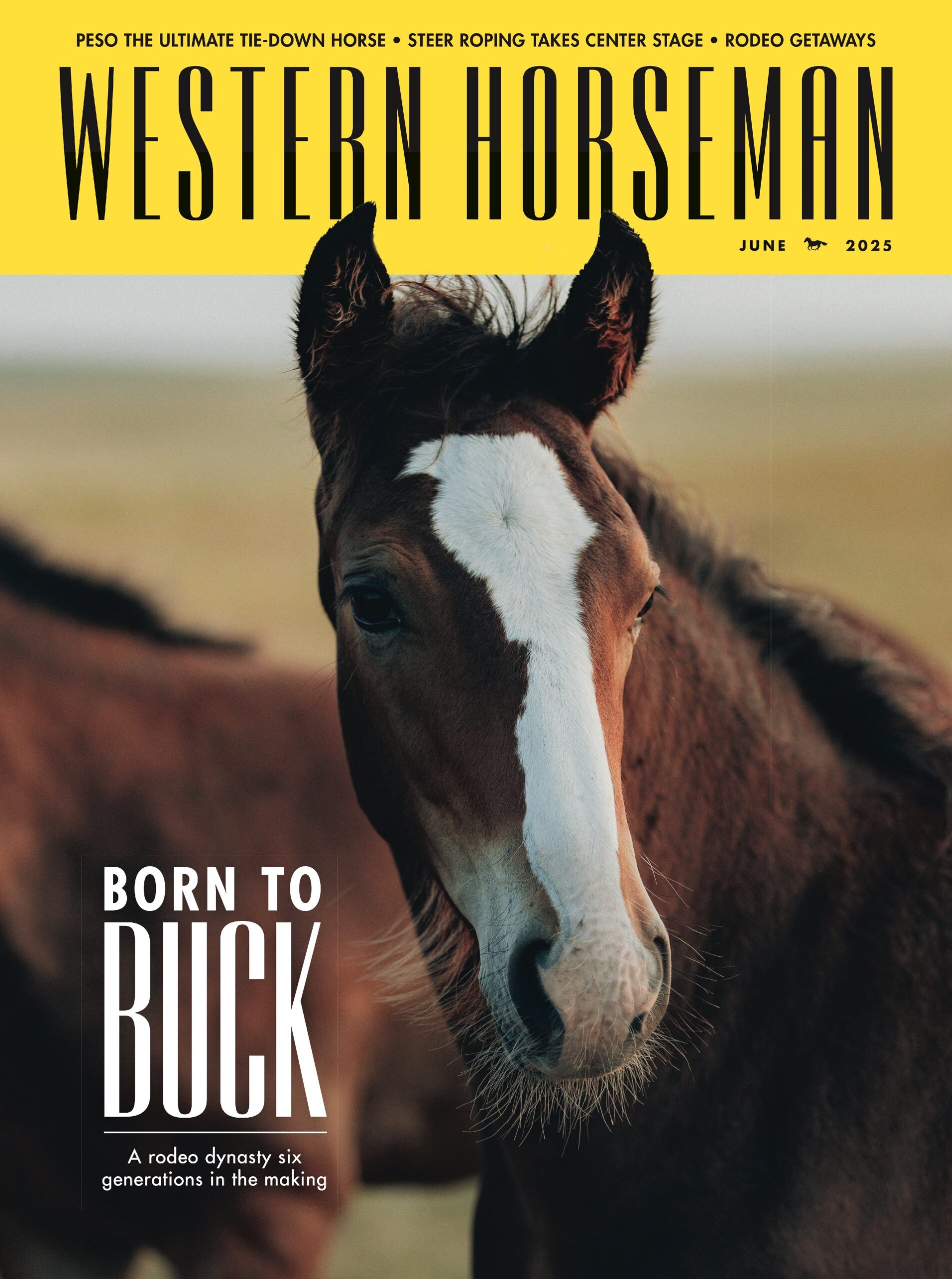 Western-Horseman June 01, 2025 Issue Cover