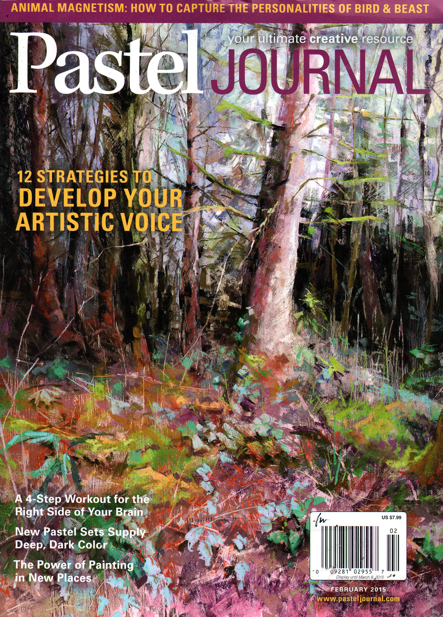 Pastel-Journal February 01, 2015 Issue Cover