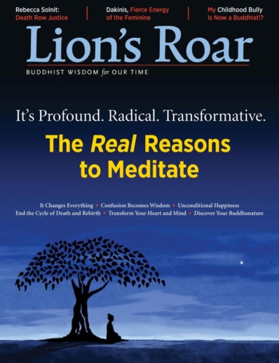 Lion's Roar July 01, 2018 Issue Cover