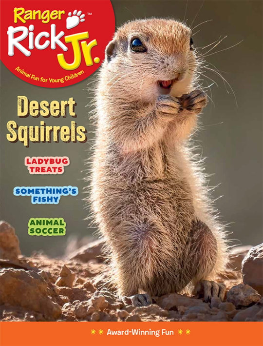Ranger Rick Jr. June 01, 2026 Issue Cover