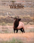 Wyoming-Wildlife October 01, 2015 Issue Cover