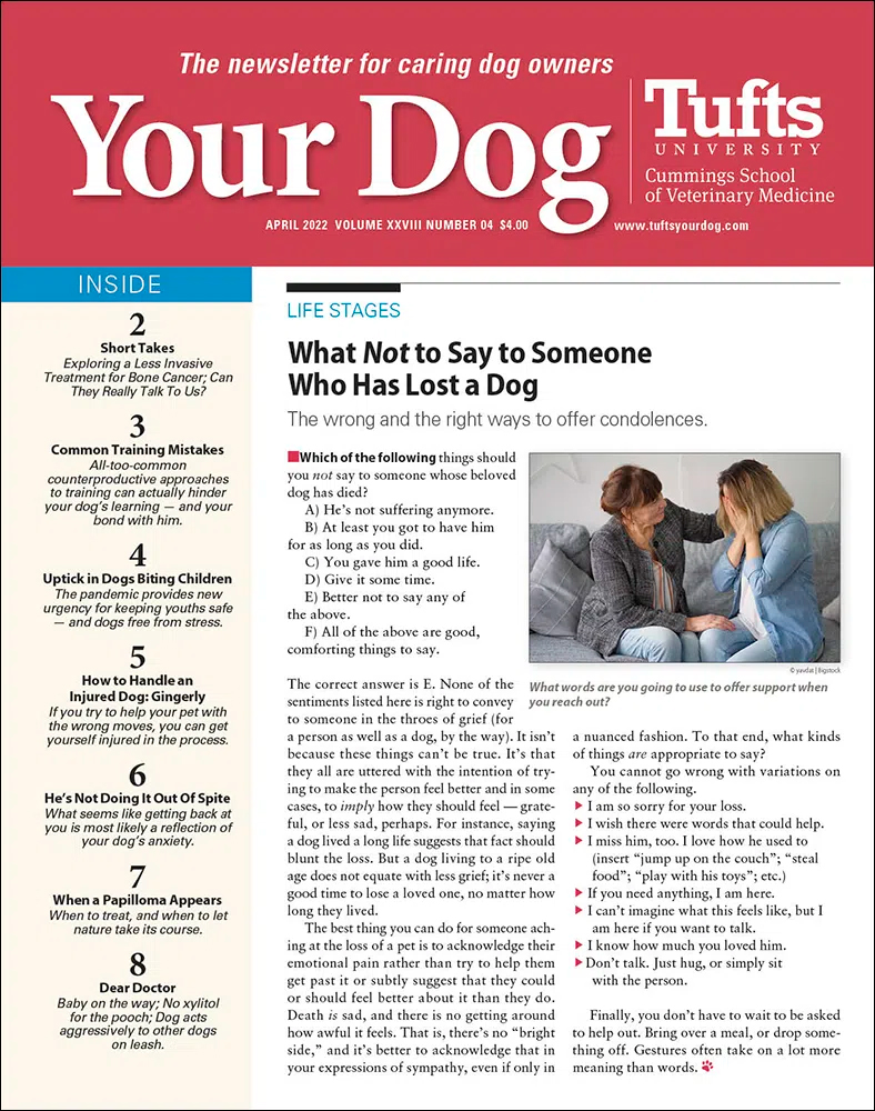 Your-Dog April 01, 2022 Issue Cover