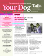 Your-Dog April 01, 2022 Issue Cover