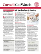 Catwatch May 01, 2025 Issue Cover