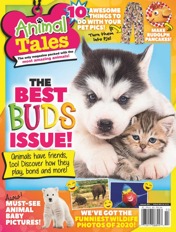 Animal-Tales February 01, 2021 Issue Cover