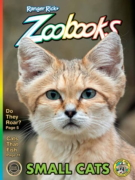 Zoobooks November 01, 2025 Issue Cover